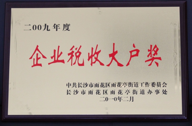 2010.2企業(yè)稅收大戶